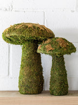 Thumbnail for picture #8