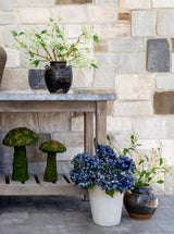 Thumbnail for picture #2