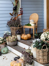 Thumbnail for picture #4