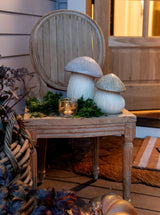 Thumbnail for picture #2