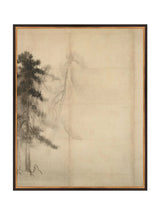 Thumbnail for picture #14