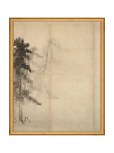 Thumbnail for picture #18