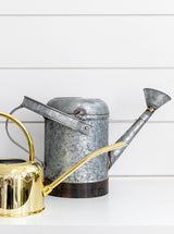 Thumbnail for picture #3