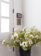 Thumbnail for picture #7