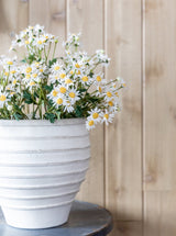 Thumbnail for picture #3