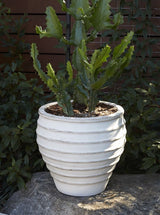 Thumbnail for picture #7