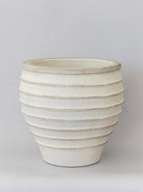 Thumbnail for picture #1