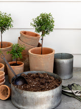 Thumbnail for picture #10