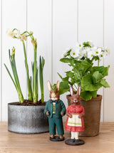 Thumbnail for picture #13