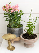 Thumbnail for picture #3