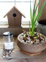 Thumbnail for picture #3