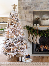 Thumbnail for picture #3