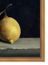 Thumbnail for picture #5