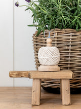 Thumbnail for picture #2