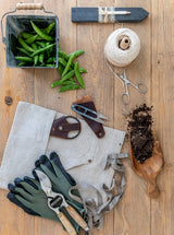 Thumbnail for picture #6