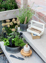 Thumbnail for picture #4