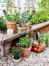 Thumbnail for picture #8