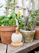 Thumbnail for picture #7