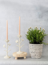 Thumbnail for picture #6