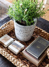 Thumbnail for picture #4