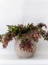 Thumbnail for picture #11