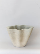 Thumbnail for picture #1