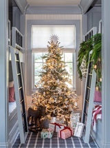 Thumbnail for picture #8