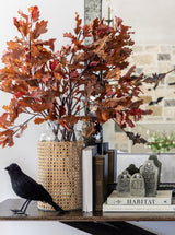 Thumbnail for picture #2