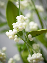 Thumbnail for picture #5