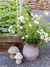 Thumbnail for picture #4