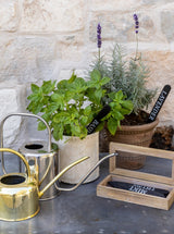 Thumbnail for picture #7