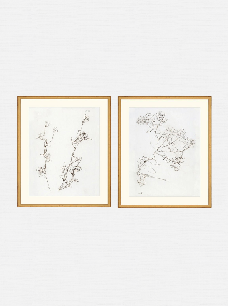 Botanical Study Duo Art Bundle