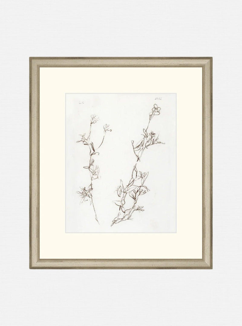 Botanical Study I