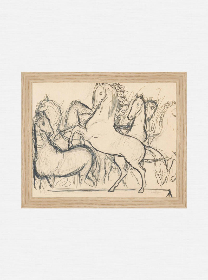 Charcoal Horse Sketch
