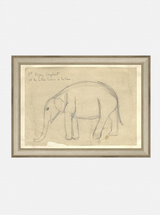 Elephant Sketch