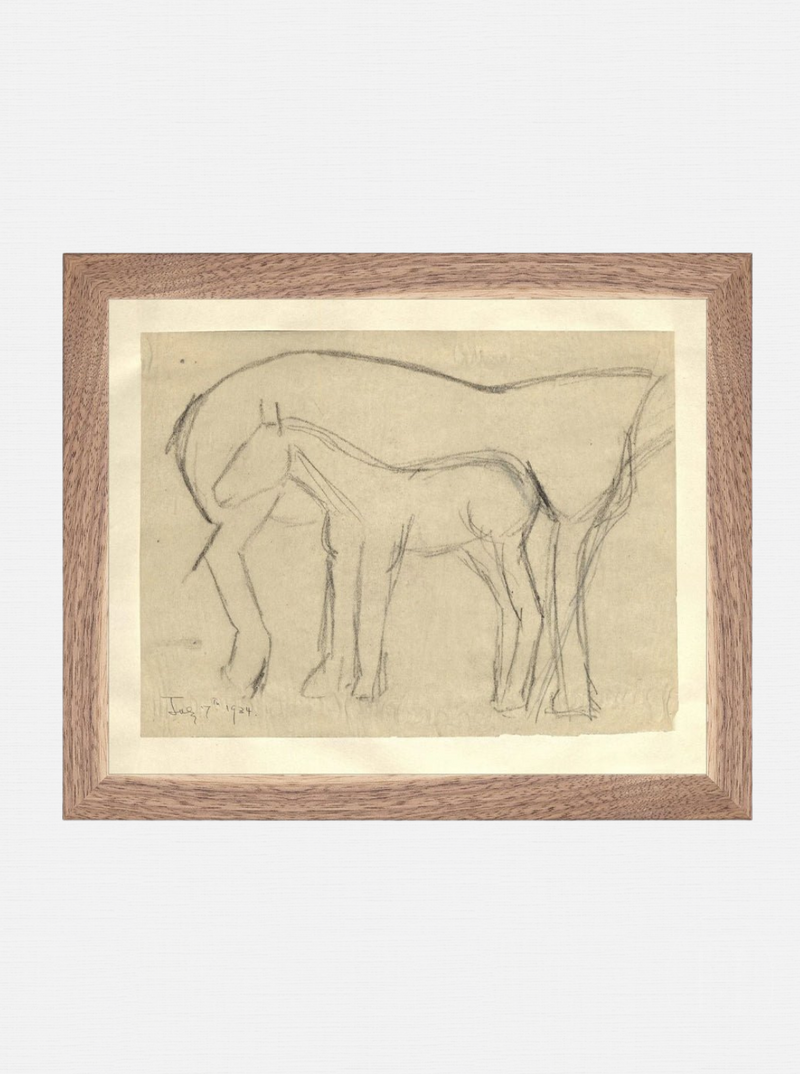 Foal Sketch