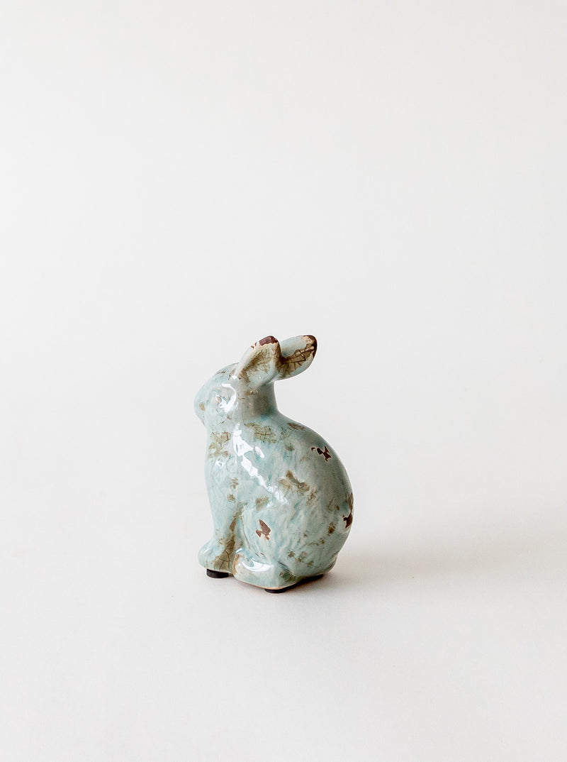 Distressed Rabbit