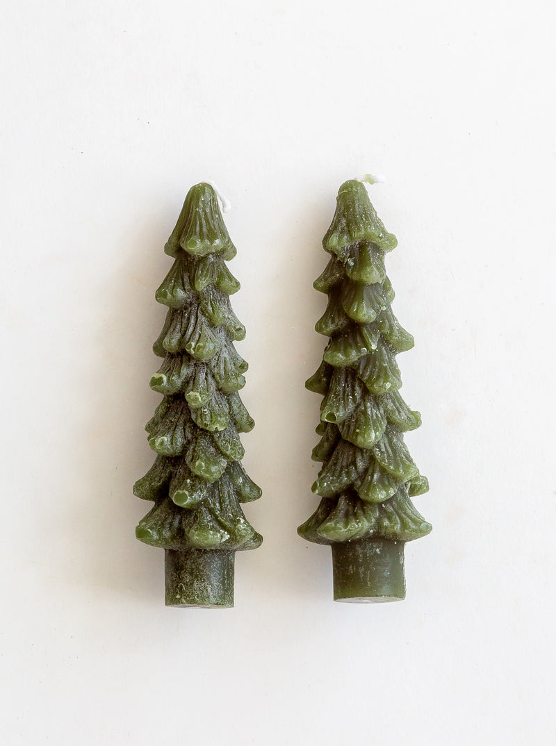 Tree Taper Candles | Set of 2