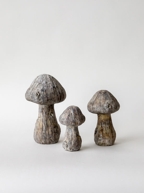 Concrete Mushrooms