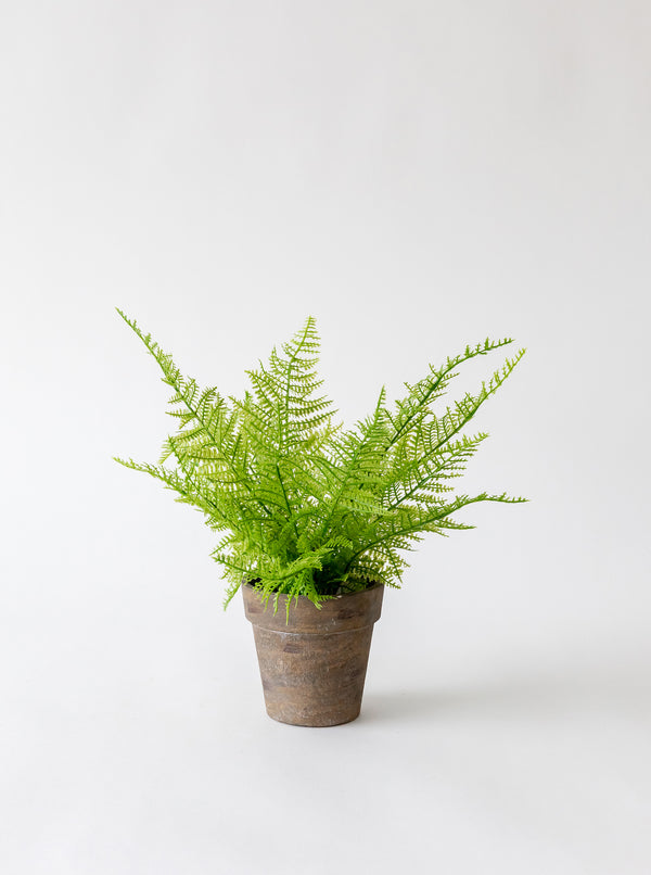 Faux Paper Mache Potted Fern