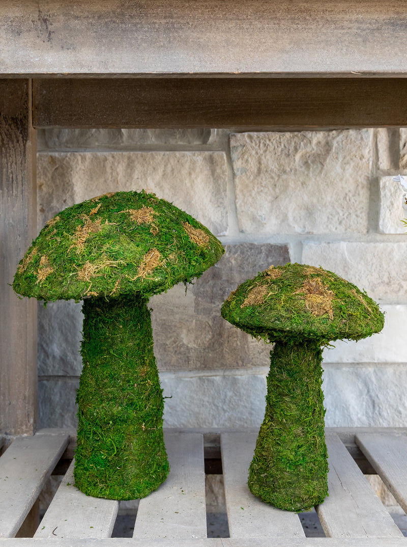 Moss Mushrooms