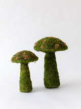 Moss Mushrooms