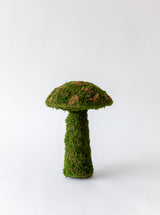 Moss Mushrooms