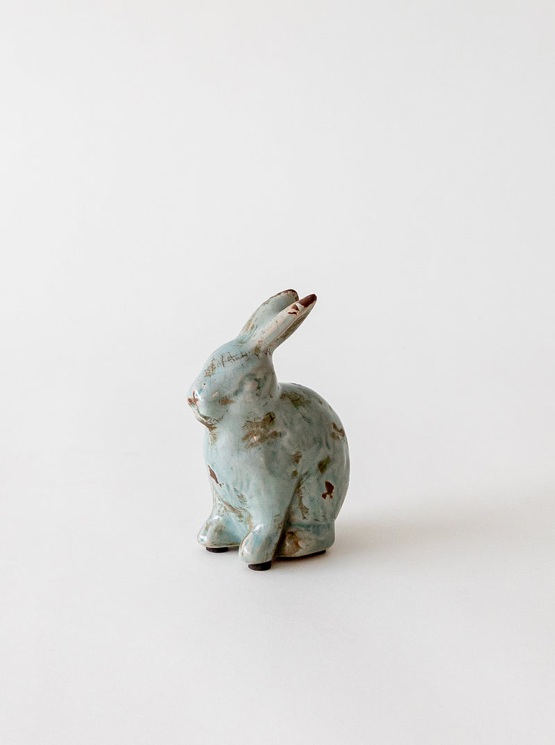Distressed Rabbit