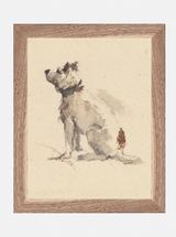 Man's Best Friend