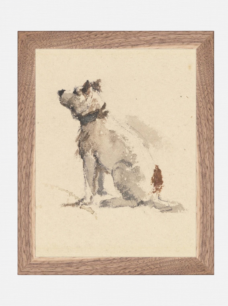 Man's Best Friend