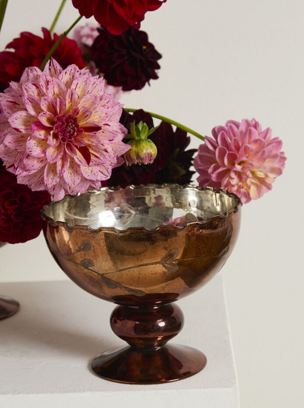 Second picture of Betsy Compote