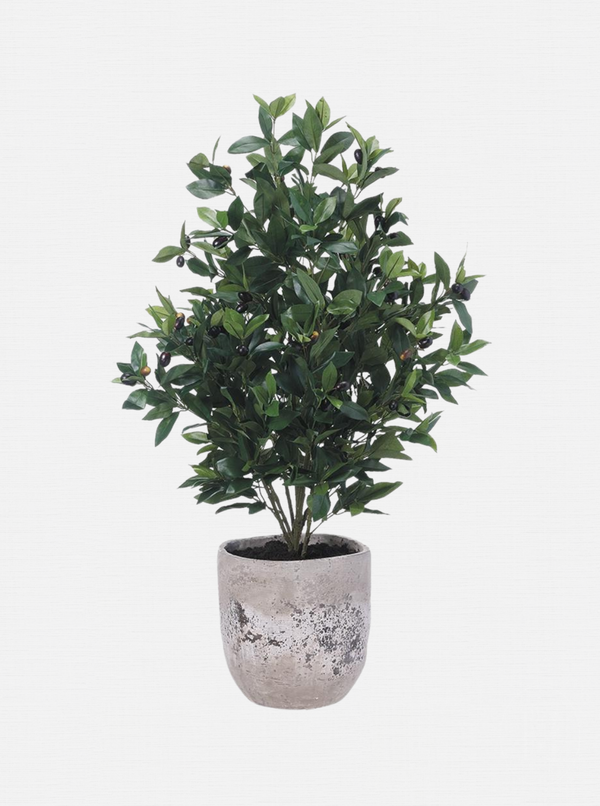 Potted 45" Faux Olive Tree