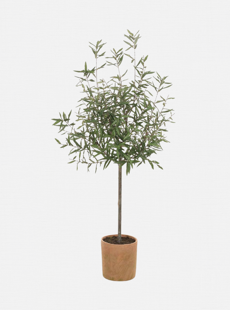 Potted 70" Faux Olive Tree