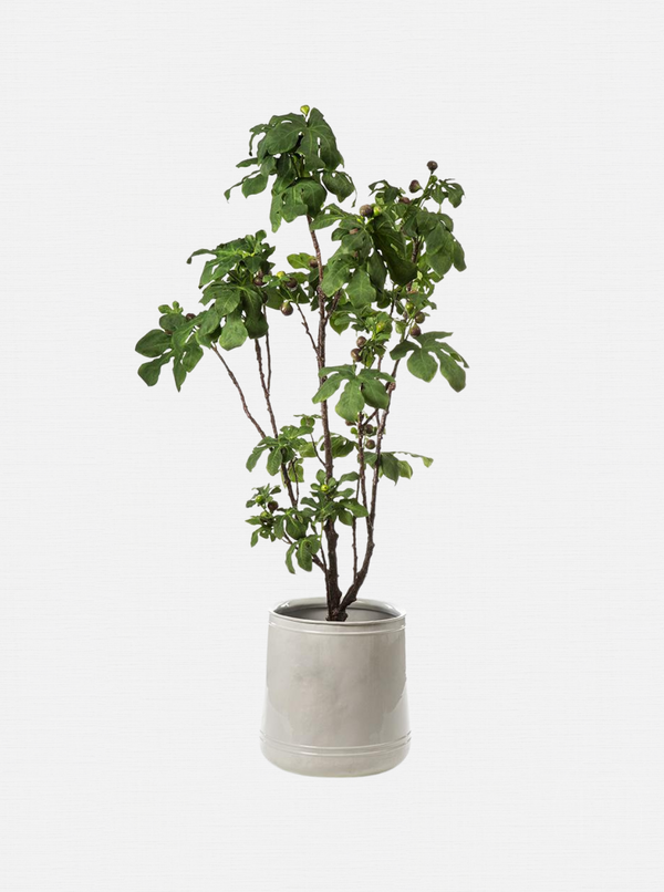 Potted 93" Faux Fig Tree
